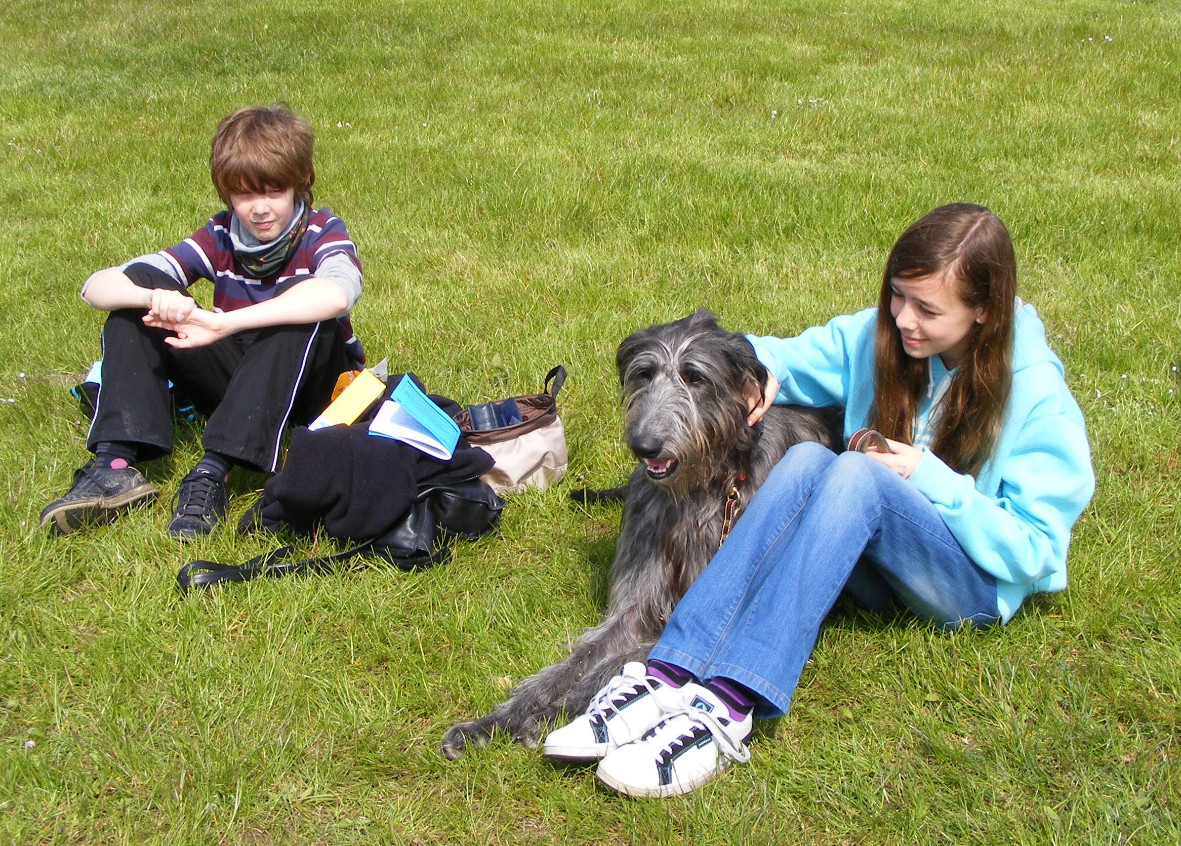 Dog Training Wickford Dog Training Wickford