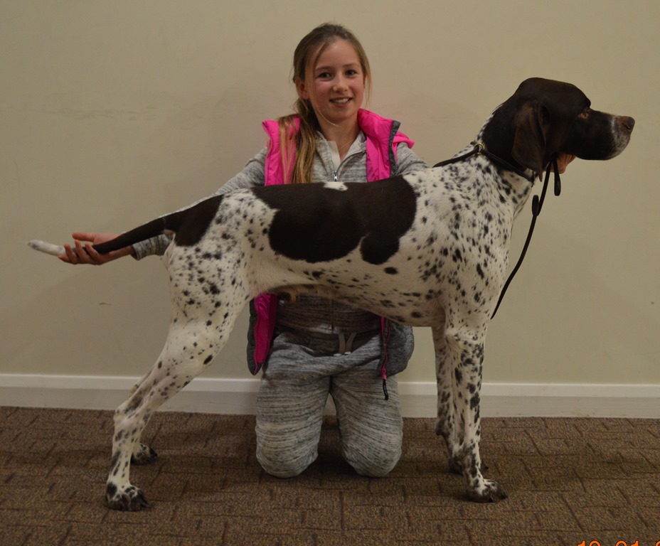 Dog Training Wickford Dog Training Wickford