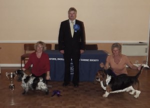 Limit Show BVIS & RBVIS Best Veteran in Show and Reserve Best Veteran in Show