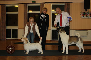 Dog of the Year and Res. Dog of the Year 2011