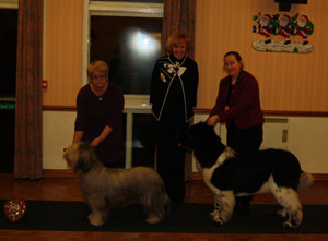 Puppy and Res. Puppy of the Year 2011