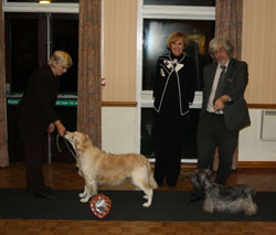 Vet and Res.Vet of the Year 2011